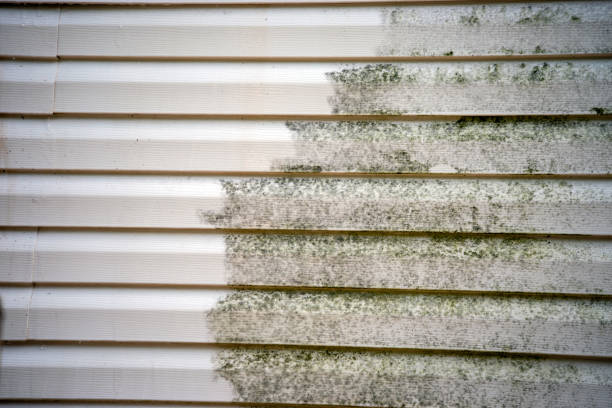Best Custom Trim and Detailing for Siding  in Smithfield, UT